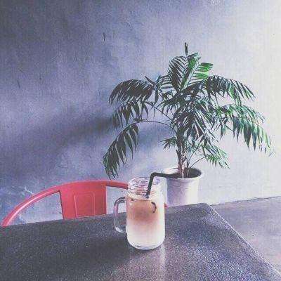 智谋三国志应用宝礼包版下载
